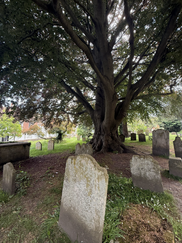 Cimitero di St. Mary's Parish Church