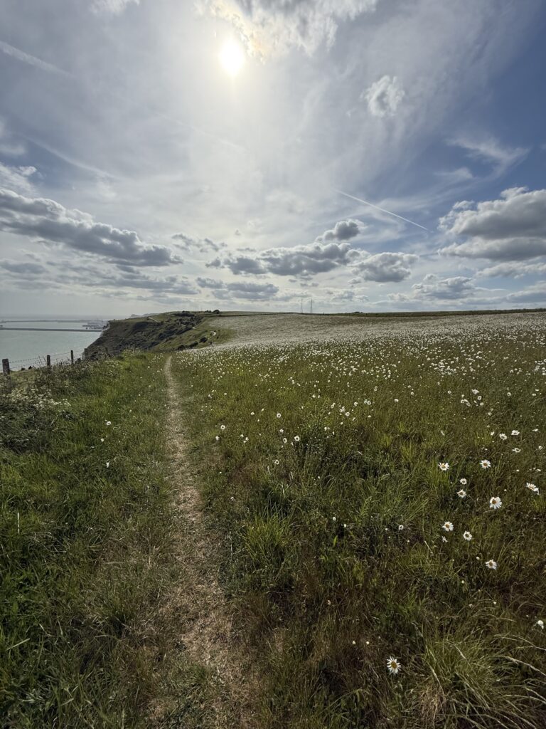 Scogliere di Dover